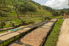 RWANDA DUKUNDE KAWA MBILIMA