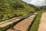 RWANDA DUKUNDE KAWA MBILIMA